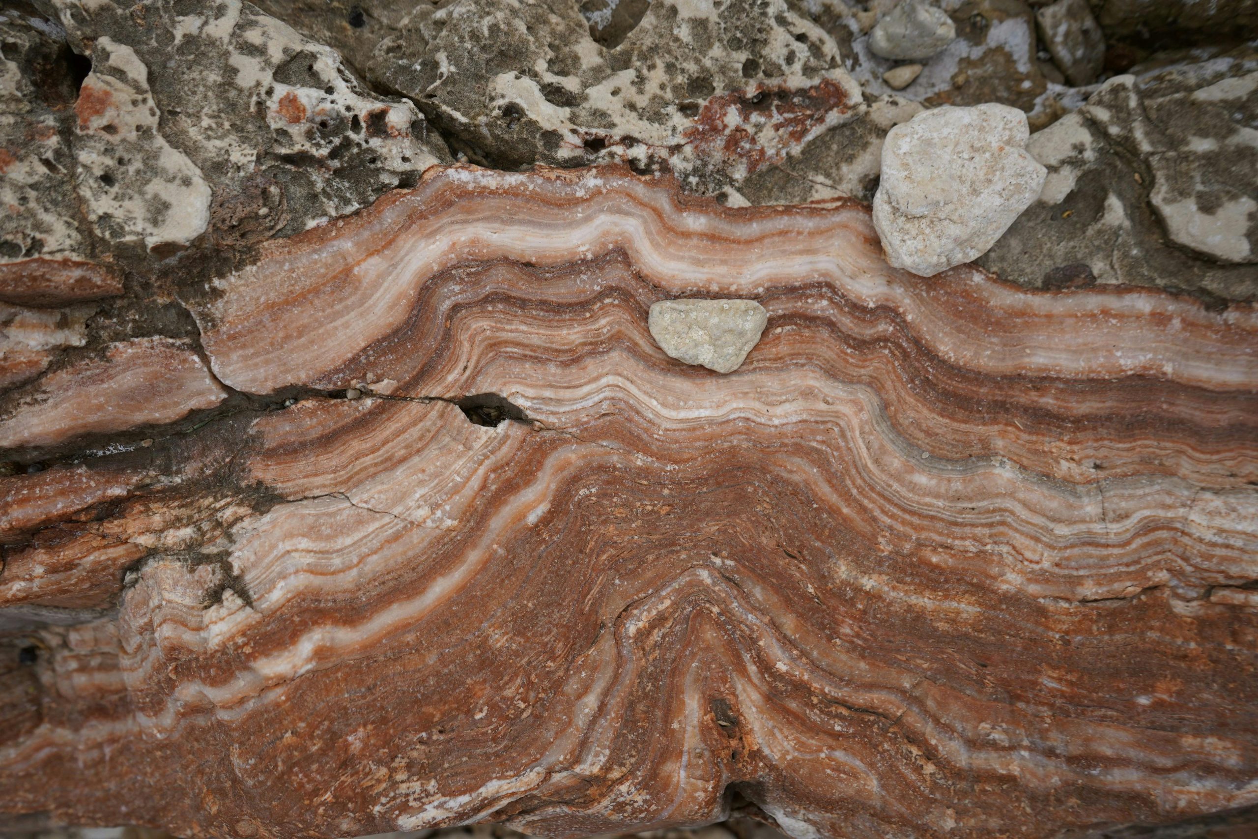 Detailed close-up of banded iron formations with unique textures found in Croatia.